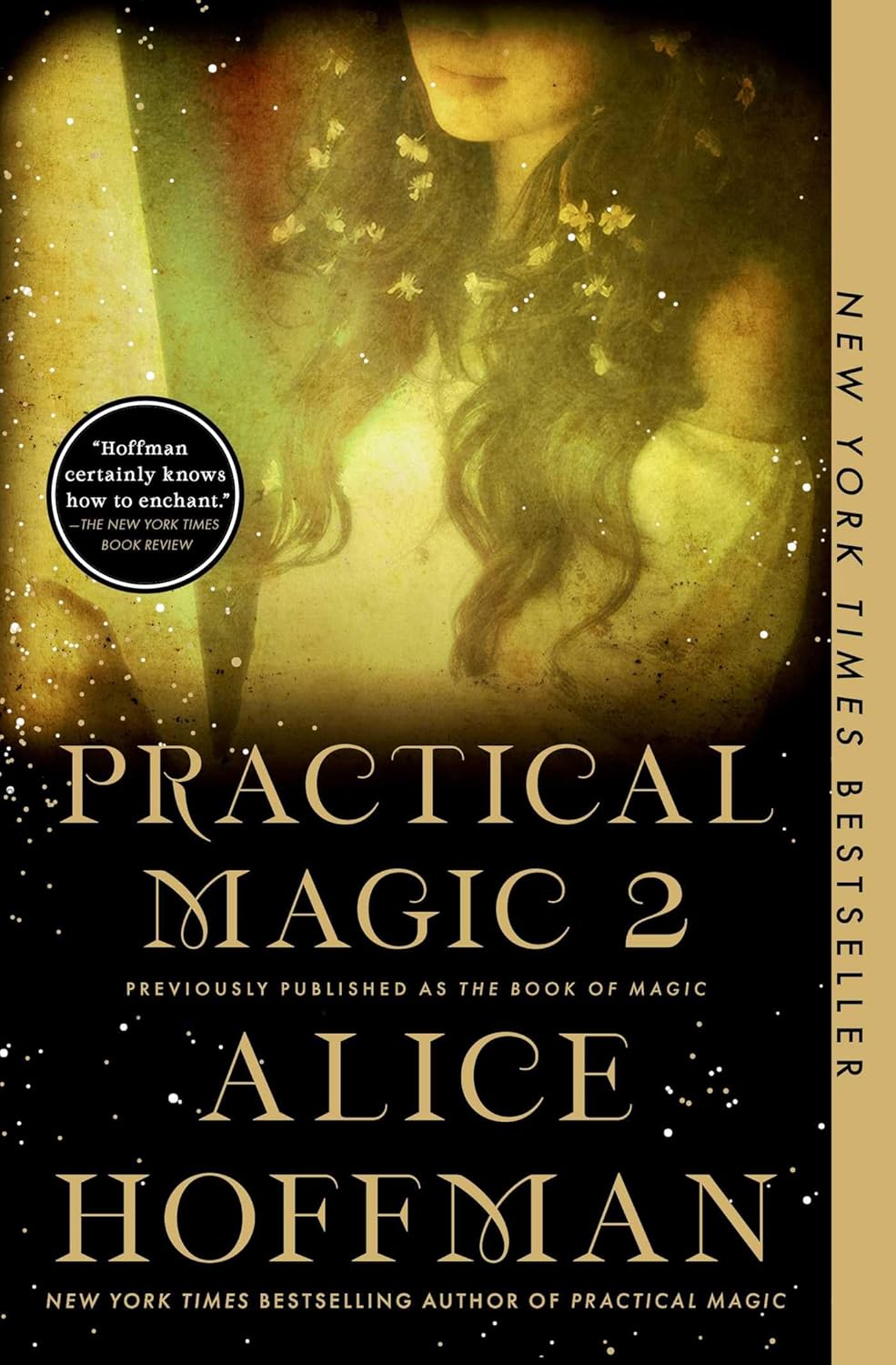 Practical Magic 2 aka The Book of Magic: Book #4 of the Practical Magic Series RC220