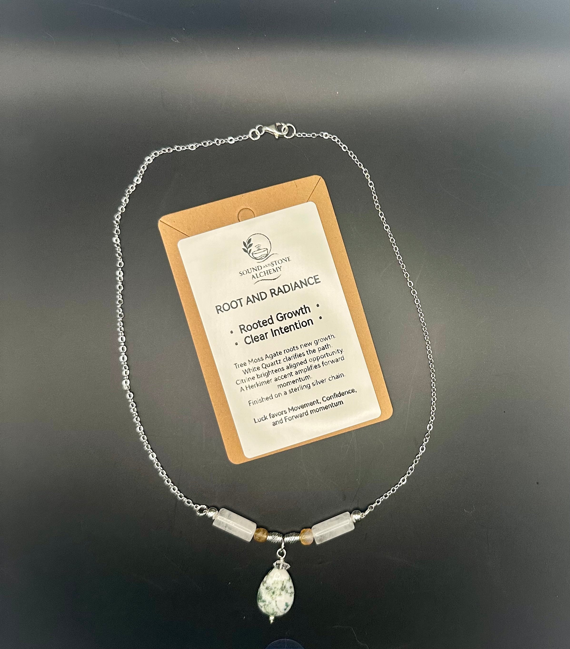 Root and Radiance Sterling silver chain necklace SSA69