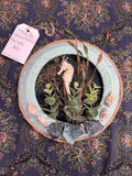 Seahorse Mini Wreath EW14