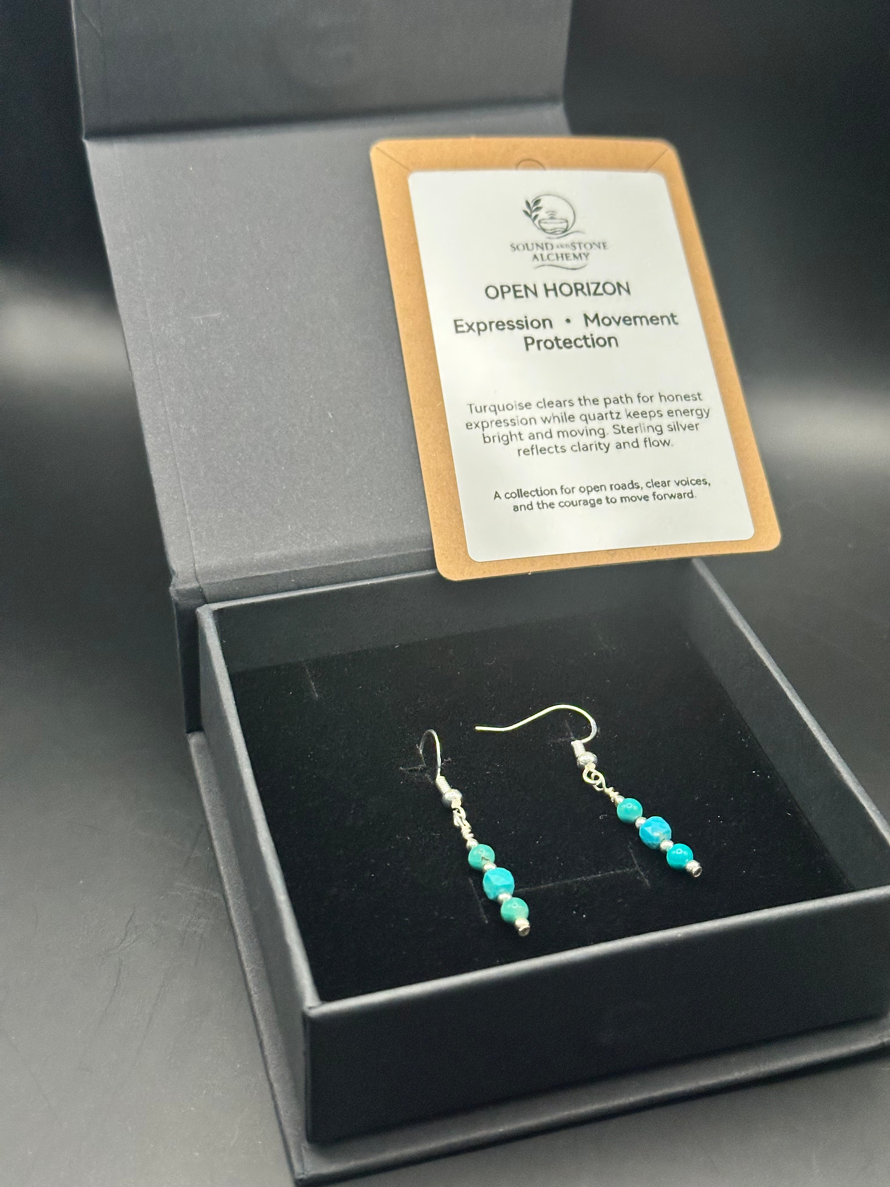 Open Horizon Dangle Earrings SSA71