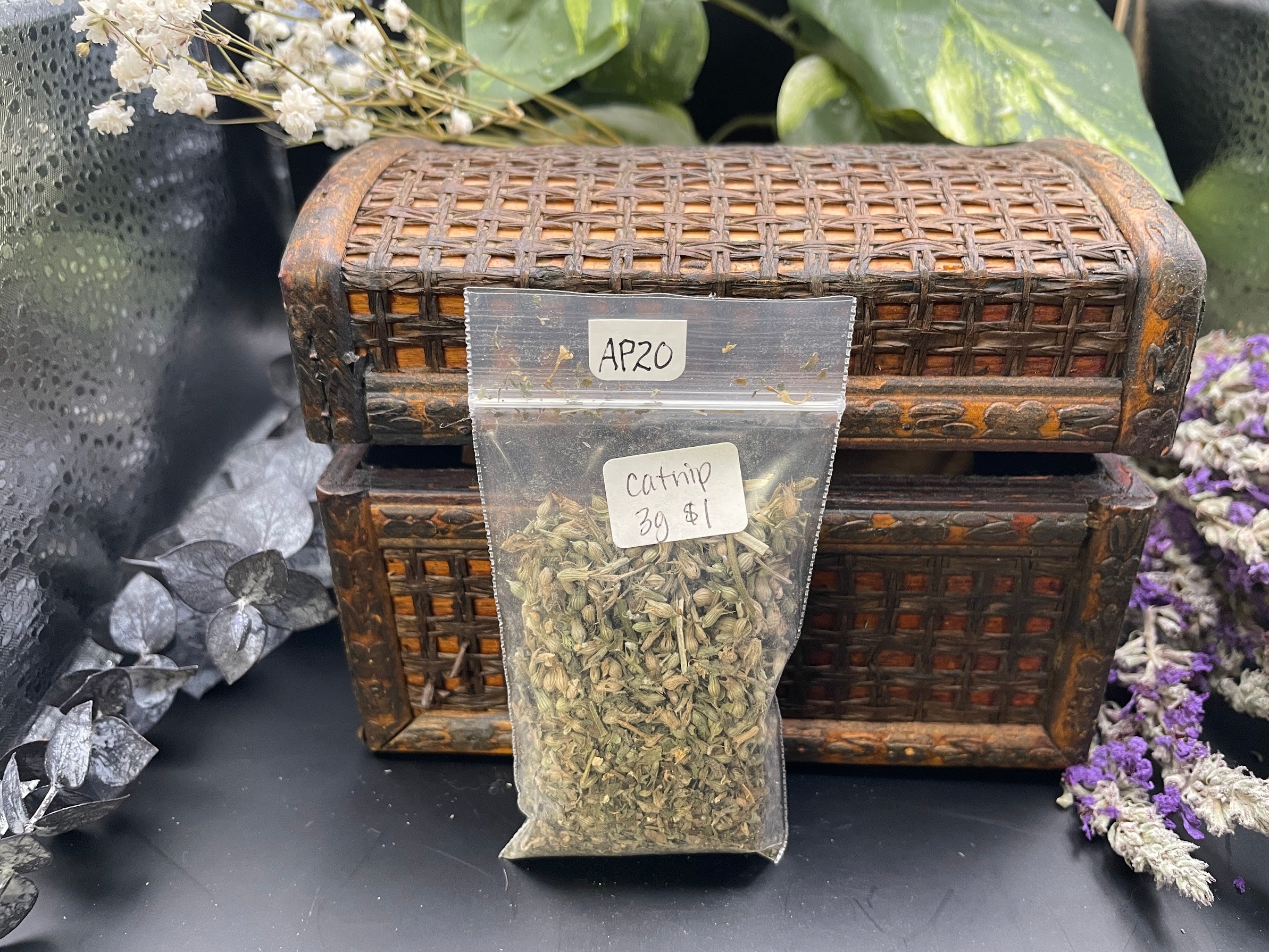 Catnip 3g AP20