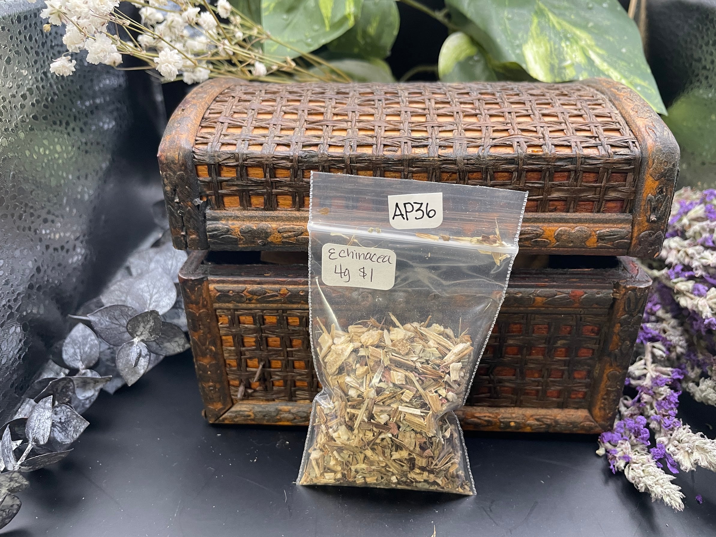 Echinacea 4g