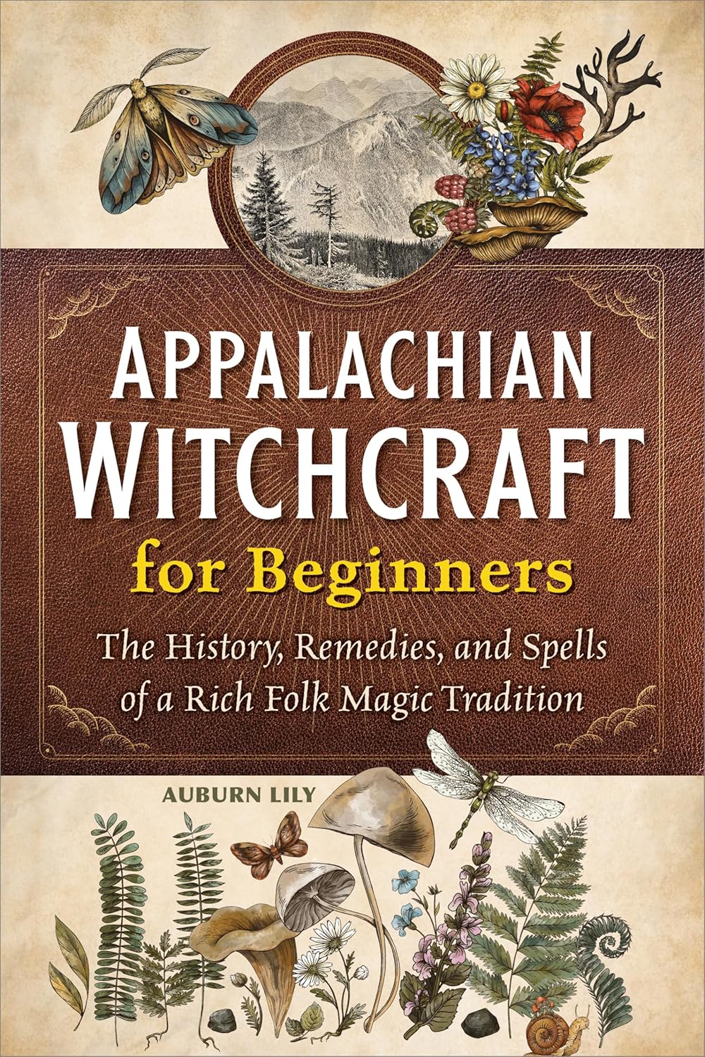 Appalachian Witchcraft Book NEW RC197