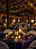 Discounted Masquerade Ball Ticket NON05