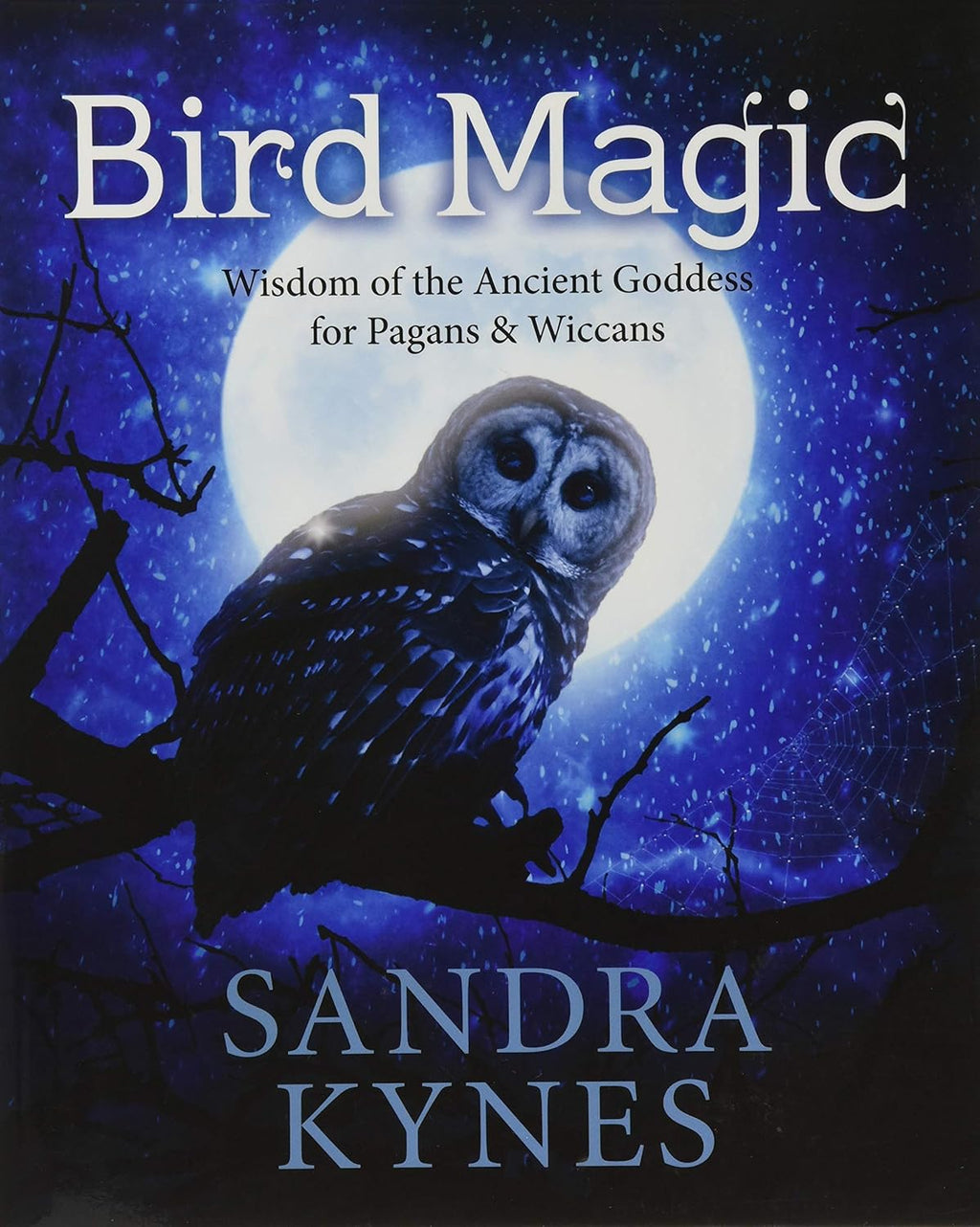 Bird Magic: Wisdom of the Ancient Goddess for Pagans & Wiccans RC269
