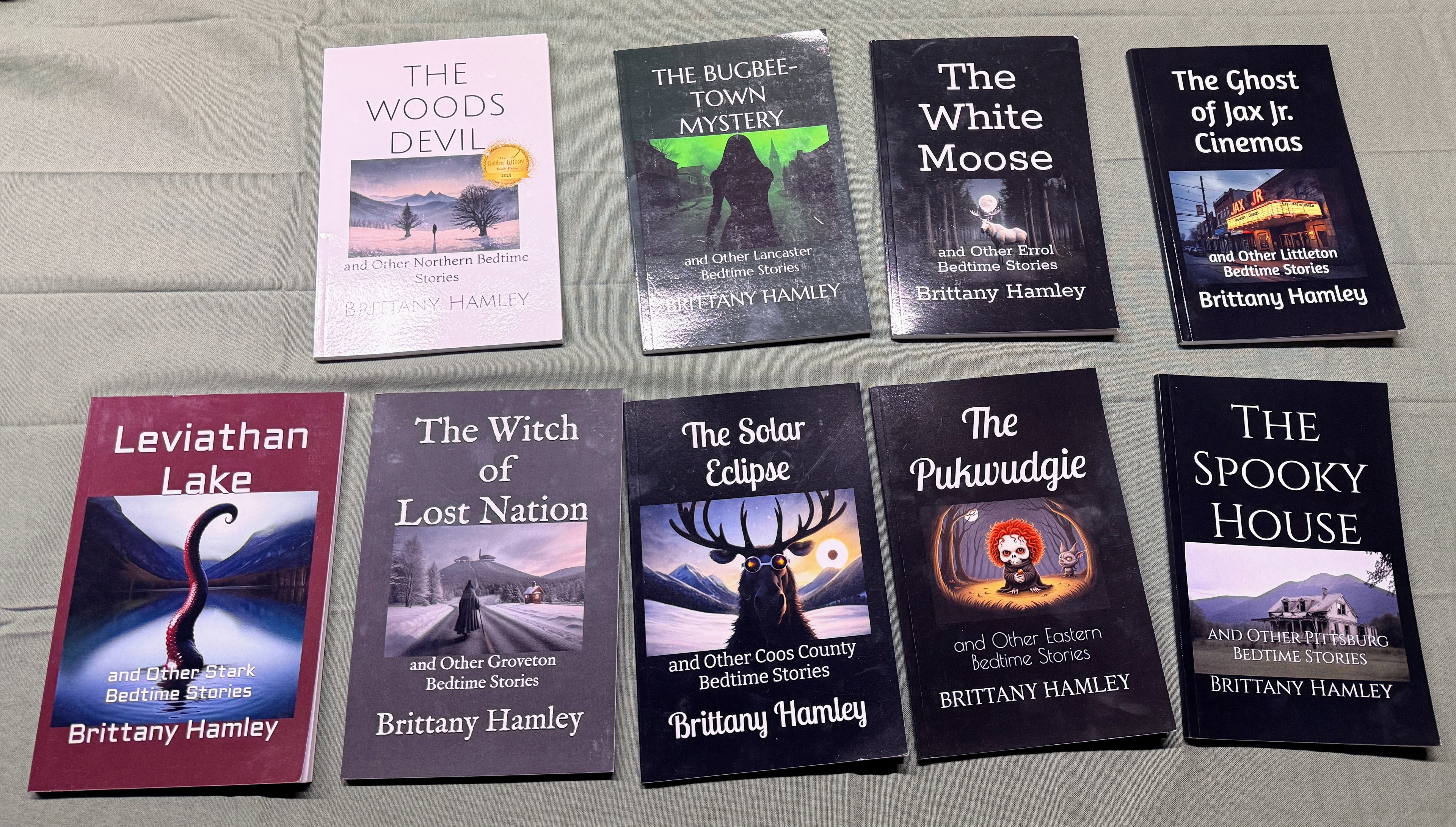 Local Author Brittany Hamley Book YB10