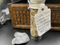 Snake Skin in Bottle DB22