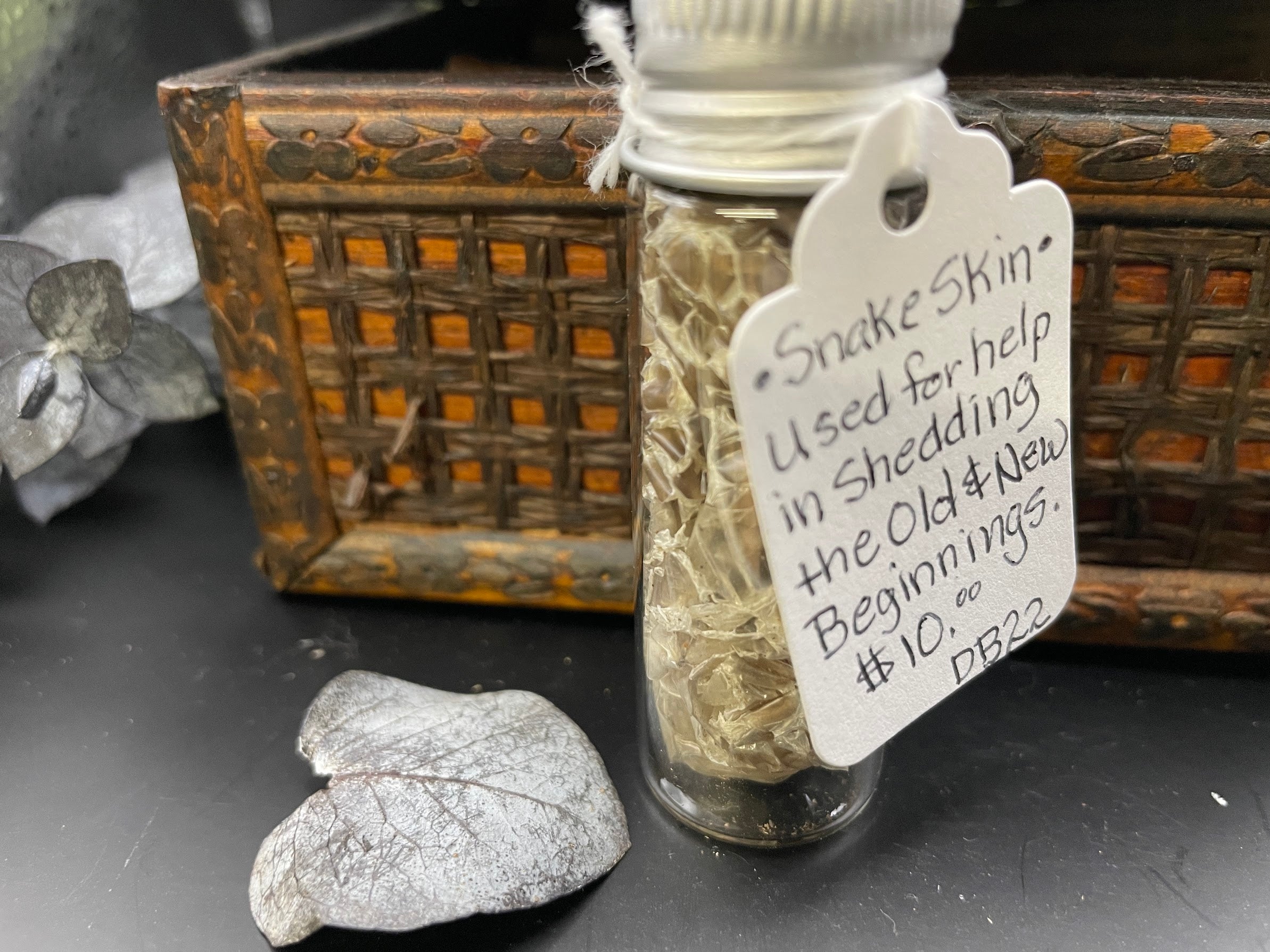 Snake Skin in Bottle DB22