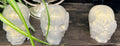 Set of 3 See No Evil Resin Skulls MOC01