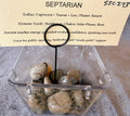 Septarian Tumble SSC273