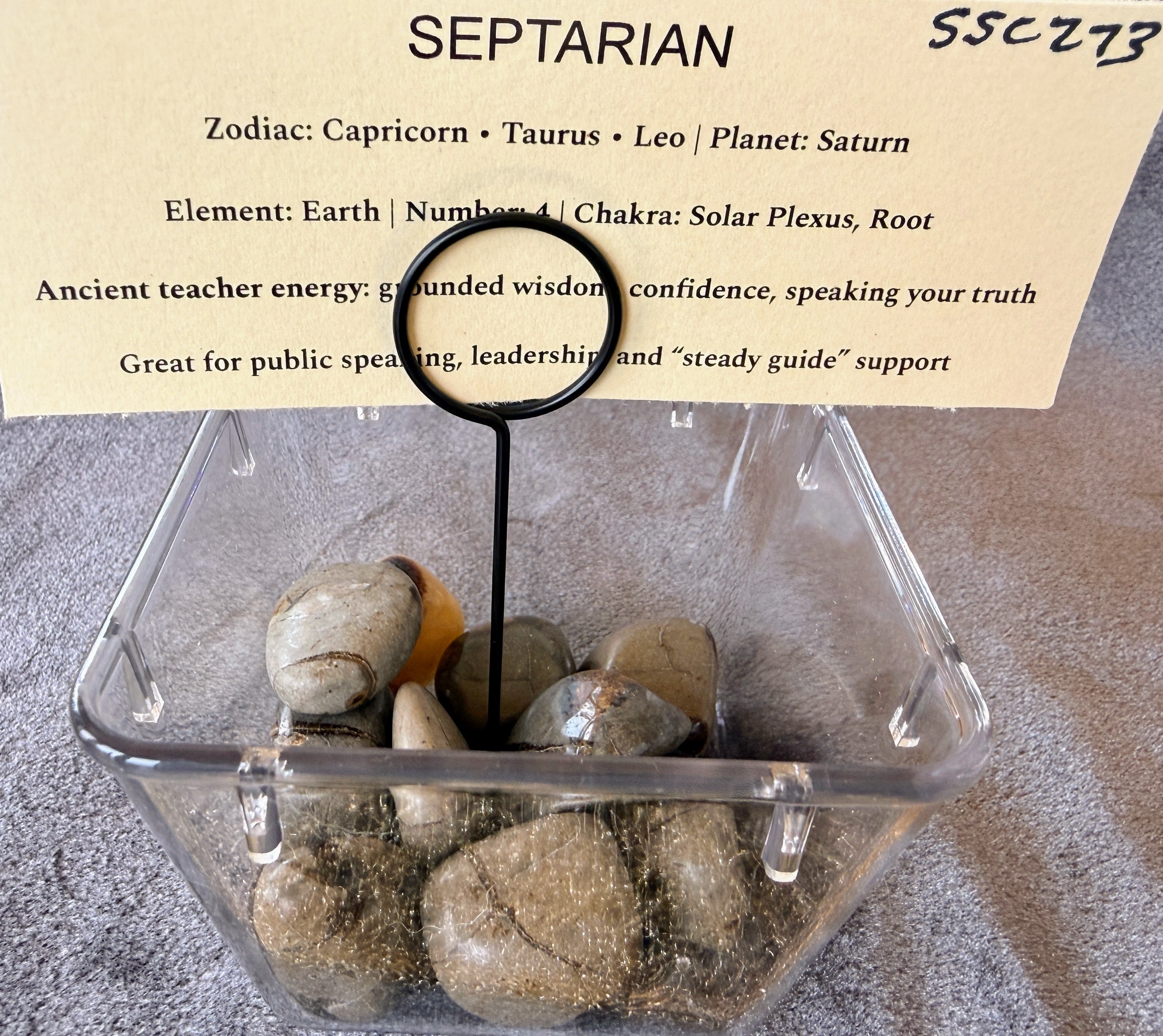 Septarian Tumble SSC273