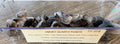 Smoky Quartz Point SSC308 or Tumble SSC309