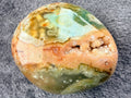 Ocean Jasper Palm Stone SSC321