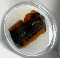 Brookite Blade Rare Collectors Item 2.58ct SSC324