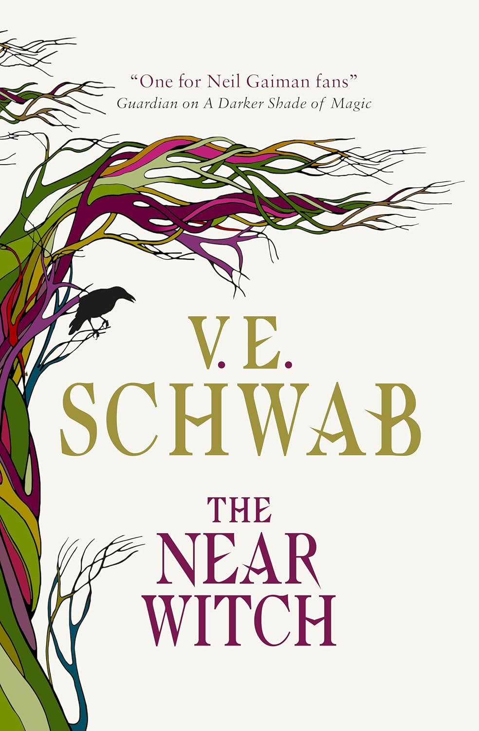 The Near Witch Preowned Copy Book by VE Schwab RC238